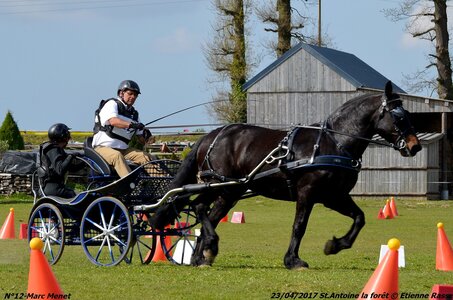 2017-04-23 CCA Saint Antoine la forêt - Concurrents amateurs, 12-DSC_6049