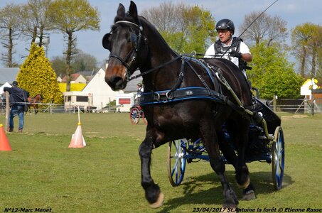 2017-04-23 CCA Saint Antoine la forêt - Concurrents amateurs, 12-DSC_6058