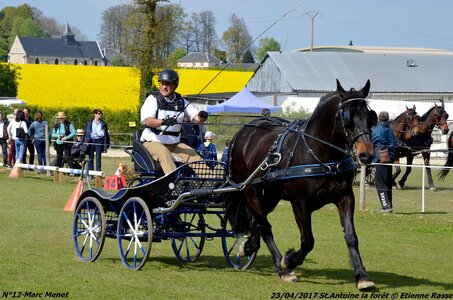 2017-04-23 CCA Saint Antoine la forêt - Concurrents amateurs, 12-DSC_6084