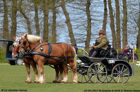 2017-04-23 CCA Saint Antoine la forêt - Concurrents amateurs, 13-DSC_5173