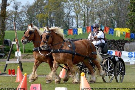 2017-04-23 CCA Saint Antoine la forêt - Concurrents amateurs, 13-DSC_6204