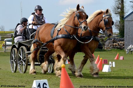 2017-04-23 CCA Saint Antoine la forêt - Concurrents amateurs, 13-DSC_6205