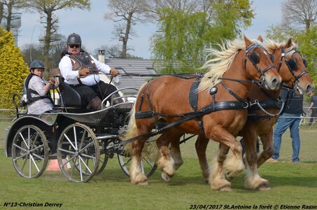 2017-04-23 CCA Saint Antoine la forêt - Concurrents amateurs, 13-DSC_6206