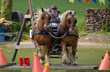 2017-04-23 CCA Saint Antoine la forêt - Concurrents amateurs, 13-DSC_6211