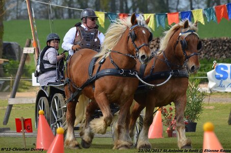 2017-04-23 CCA Saint Antoine la forêt - Concurrents amateurs, 13-DSC_6219