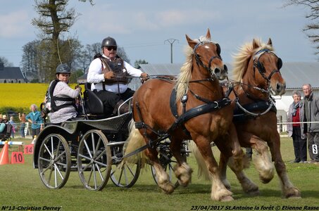 2017-04-23 CCA Saint Antoine la forêt - Concurrents amateurs, 13-DSC_6226