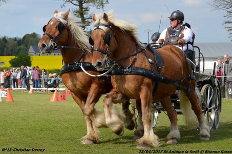 2017-04-23 CCA Saint Antoine la forêt - Concurrents amateurs, 13-DSC_6227