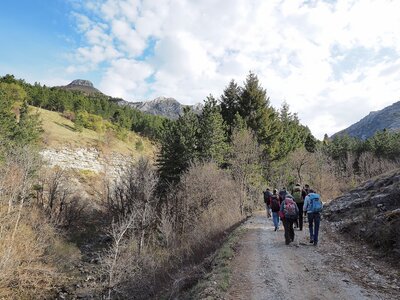 Montagne d'Aujour - Randonnée du 25 avril 2017, P4250002  Copier 