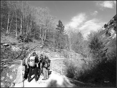 Montagne d'Aujour - Randonnée du 25 avril 2017, P4250006  Copier 