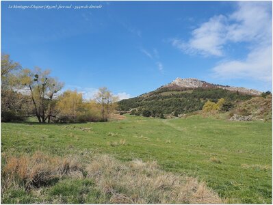 Montagne d'Aujour - Randonnée du 25 avril 2017, P4250008  Copier 