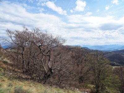 Montagne d'Aujour - Randonnée du 25 avril 2017, P4250013  Copier 