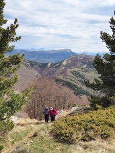 Montagne d'Aujour - Randonnée du 25 avril 2017, P4250019  Copier 
