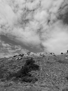 Montagne d'Aujour - Randonnée du 25 avril 2017, P4250020  Copier 
