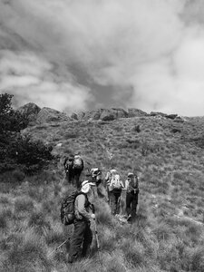 Montagne d'Aujour - Randonnée du 25 avril 2017, P4250023  Copier 