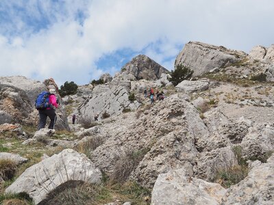 Montagne d'Aujour - Randonnée du 25 avril 2017, P4250026  Copier 