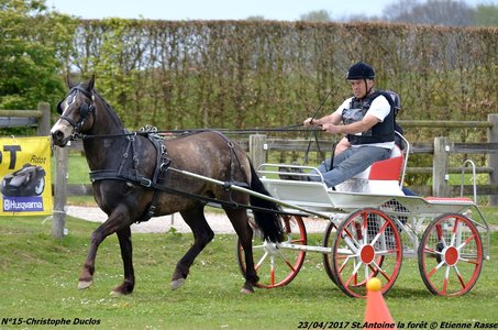 2017-04-23 CCA Saint Antoine la Forêt - Clubs et SHF, 15-DSC_5309