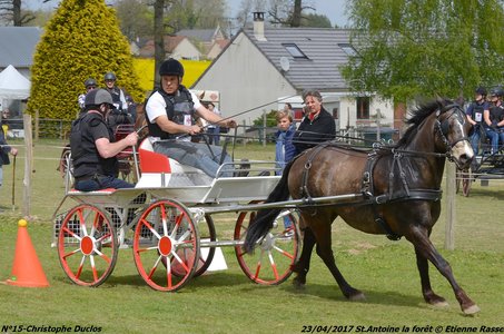 2017-04-23 CCA Saint Antoine la Forêt - Clubs et SHF, 15-DSC_5315