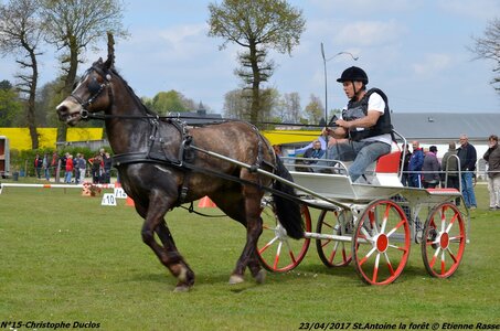 2017-04-23 CCA Saint Antoine la Forêt - Clubs et SHF, 15-DSC_5329