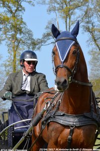2017-04-23 CCA Saint Antoine la Forêt - Clubs et SHF, 16-DSC_5148