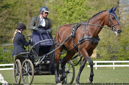 2017-04-23 CCA Saint Antoine la Forêt - Clubs et SHF, 16-DSC_5152