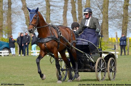 2017-04-23 CCA Saint Antoine la Forêt - Clubs et SHF, 16-DSC_5157