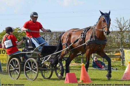 2017-04-23 CCA Saint Antoine la Forêt - Clubs et SHF, 16-DSC_6169