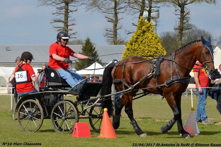 2017-04-23 CCA Saint Antoine la Forêt - Clubs et SHF, 16-DSC_6182