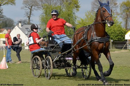 2017-04-23 CCA Saint Antoine la Forêt - Clubs et SHF, 16-DSC_6183