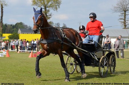 2017-04-23 CCA Saint Antoine la Forêt - Clubs et SHF, 16-DSC_6199