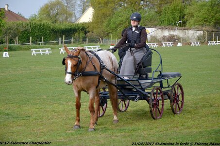 2017-04-23 CCA Saint Antoine la Forêt - Clubs et SHF, 17-DSC_4955