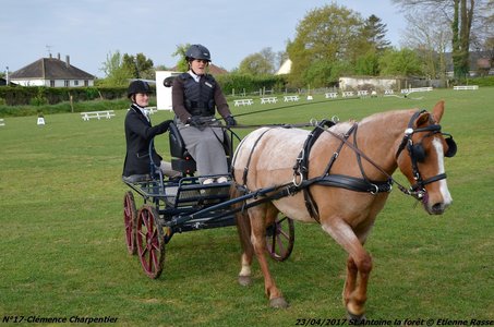 2017-04-23 CCA Saint Antoine la Forêt - Clubs et SHF, 17-DSC_4957