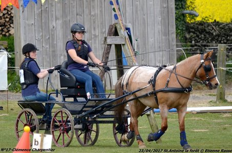 2017-04-23 CCA Saint Antoine la Forêt - Clubs et SHF, 17-DSC_5369