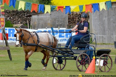 2017-04-23 CCA Saint Antoine la Forêt - Clubs et SHF, 17-DSC_5372