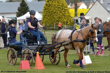 2017-04-23 CCA Saint Antoine la Forêt - Clubs et SHF, 17-DSC_5376