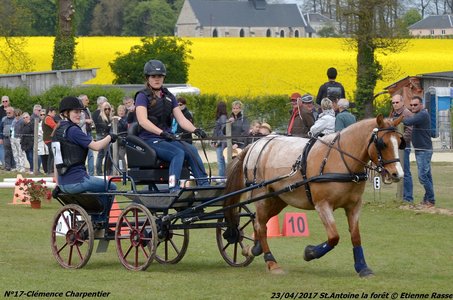2017-04-23 CCA Saint Antoine la Forêt - Clubs et SHF, 17-DSC_5388