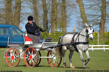 2017-04-23 CCA Saint Antoine la Forêt - Clubs et SHF, 18-DSC_5049