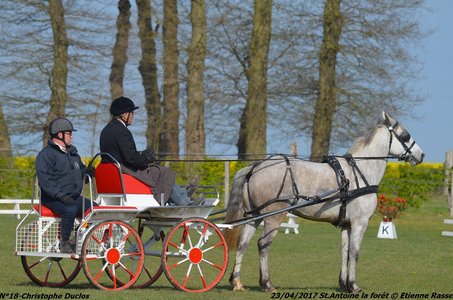 2017-04-23 CCA Saint Antoine la Forêt - Clubs et SHF, 18-DSC_5057