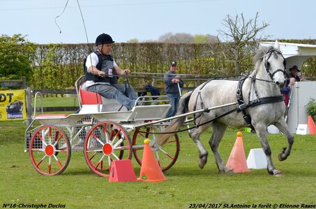 2017-04-23 CCA Saint Antoine la Forêt - Clubs et SHF, 18-DSC_5621