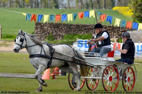 2017-04-23 CCA Saint Antoine la Forêt - Clubs et SHF, 18-DSC_5632