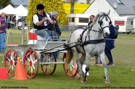 2017-04-23 CCA Saint Antoine la Forêt - Clubs et SHF, 18-DSC_5635
