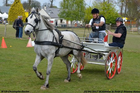 2017-04-23 CCA Saint Antoine la Forêt - Clubs et SHF, 18-DSC_5645