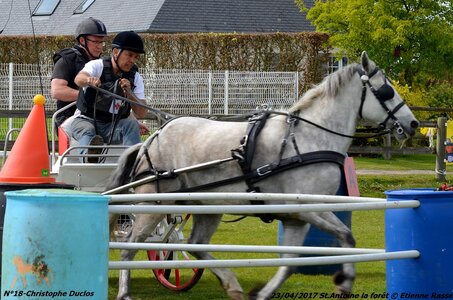 2017-04-23 CCA Saint Antoine la Forêt - Clubs et SHF, 18-DSC_5663