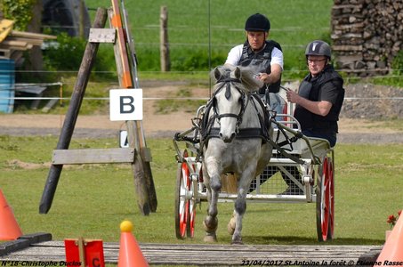 2017-04-23 CCA Saint Antoine la Forêt - Clubs et SHF, 18-DSC_5664