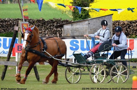 2017-04-23 CCA Saint Antoine la Forêt - Clubs et SHF, 19-DSC_5479