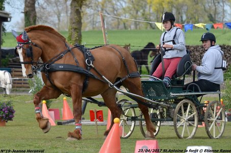 2017-04-23 CCA Saint Antoine la Forêt - Clubs et SHF, 19-DSC_5485