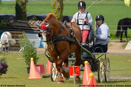 2017-04-23 CCA Saint Antoine la Forêt - Clubs et SHF, 19-DSC_5512