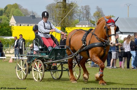 2017-04-23 CCA Saint Antoine la Forêt - Clubs et SHF, 19-DSC_5514