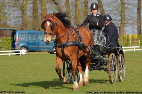 2017-04-23 CCA Saint Antoine la Forêt - Clubs et SHF, 20-DSC_4970