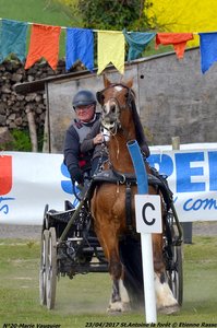 2017-04-23 CCA Saint Antoine la Forêt - Clubs et SHF, 20-DSC_5418