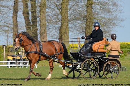 2017-04-23 CCA Saint Antoine la Forêt - Clubs et SHF, 21-DSC_4978